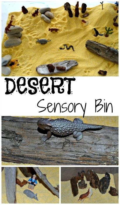 Animals And Habitats Activities, Habitats Activities, Habitats Preschool, Animal Habitats Preschool, Sensory Bin Play, Sensory Tubs, Sensory Tub, Desert Animals, Sensory Boxes