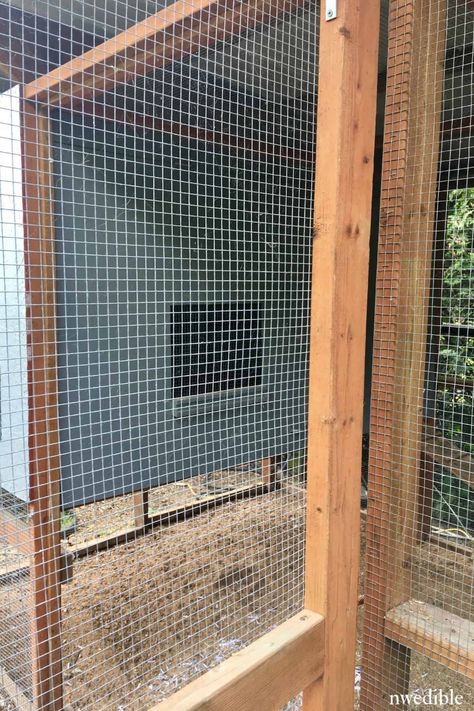 11 Chicken Coop Features I’ll Never Live Without | Northwest Edible Life Portable Chicken Coop, Poultry House, Chicken Waterer, Coop Design, Best Chicken Coop, Laying Hens, Chicken Coop Designs, Hardware Cloth, Coop Plans