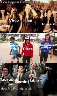 Zodiac Funny Memes, Mbti Funny, Leo And Aquarius, Zodiac Sign Fashion, Zodiac Characters, Zodiac Signs Chart, Zodiac Signs Months, Anime Zodiac, Zodiac Signs Scorpio