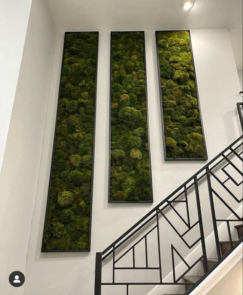 Decor Under Stairs Wall, Art Above Stairs, Moss Frame Art, Plant Staircase, Staircase Plants, Moss Wall Design, Wall Above Stairs Decor, Staircase Greenery, Wall Above Stairs