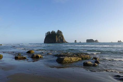 Things To Do In Forks Washington, Rialto Beach, Forks Washington, Shot In The Dark, Port Angeles, Olympic Peninsula, Summer 2025, The Tourist, Recreational Activities