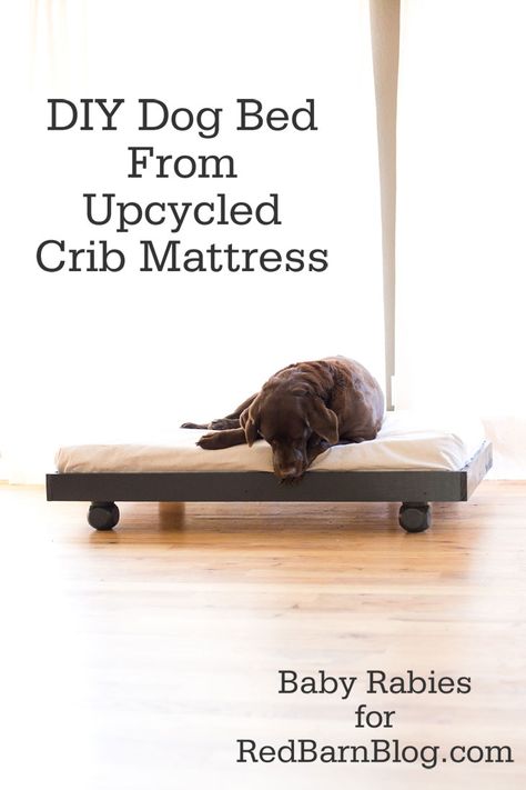 DIY Dog Bed Upcycled Crib Mattress, dogs, animals, I would put wheels on the bottom and slide it under the bed during the day. Upcycled Crib, Crib Mattress Dog Bed, Diy Mattress, Furniture Wheels, Diy Dog Bed, Dog Bed Furniture, Animal Projects, Diy Dog, Crib Mattress