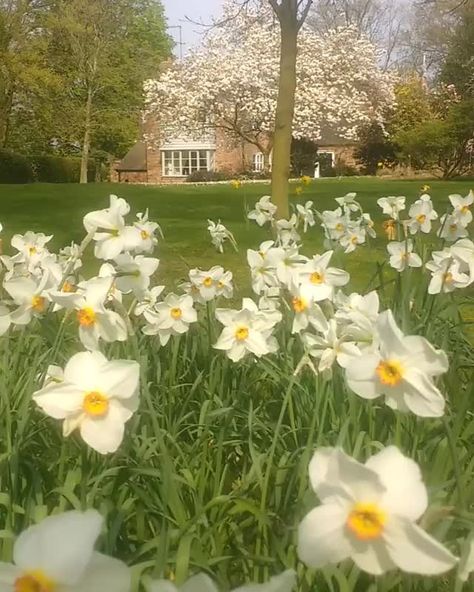 Aquarius Rising, College Aesthetic, Christy Dawn, The Natural World, The Messenger, Flora And Fauna, Months In A Year, College Girls, The Natural