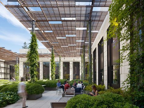 Stanford Law School, William H. Neukom Building - ennead Stanford Law, Retail Architecture, Canopy Architecture, Walkway Design, School Entrance, Covered Walkway, Architecture People, School Campus, Canopy Design