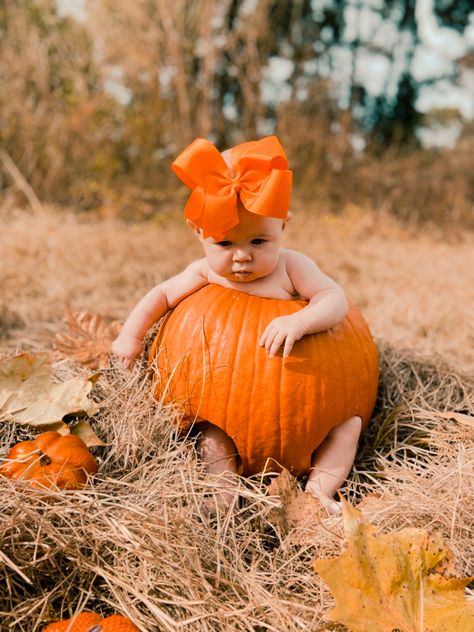 6 Month Old Pumpkin Pictures, Baby In A Pumpkin Photoshoot, Baby Pumpkin Photos, Fall Baby Photoshoot 6 Months, Baby Pumpkin Patch Photoshoot, Baby Girl Fall Photoshooting Ideas, Baby In A Pumpkin Picture, Baby Pumpkin Ideas, Fall Baby Photoshoot Ideas