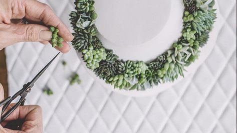 Forget birds. Put a succulent on it. Succulent Jewelry, Plant Jewelry, Succulent Wedding, Passion Flower, Floral Jewellery, Diy Homemade, Flower Jewellery, Diy Flowers, Planting Succulents