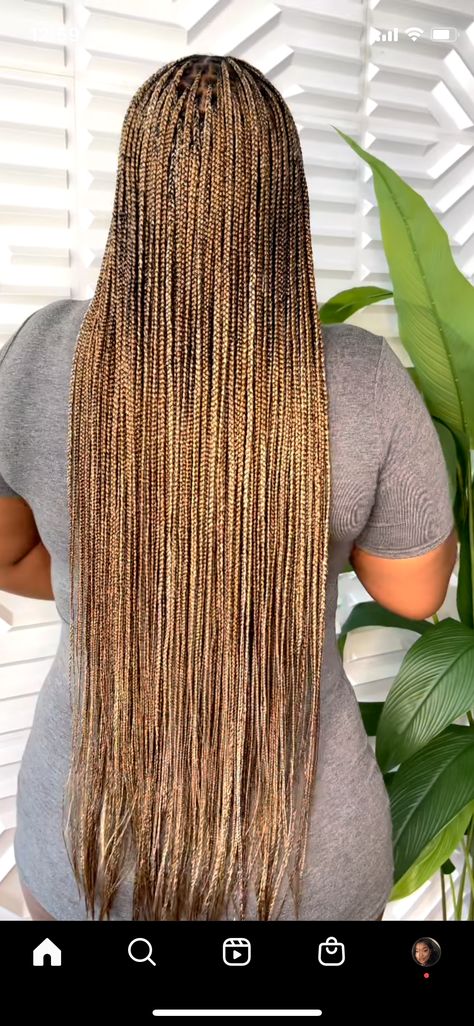 Brown And Gold Braids For Black Women, Small Knotless Box Braids Honey Blonde, Brown And Blond Mixed Box Braids, Golden Blonde Box Braids, Blonde Mixture Knotless Braids, Brown Individual Braids, Brown And Blonde Hair Black Women Braids, 2/27/30 Braids, Honey Blonde Braided Ponytail