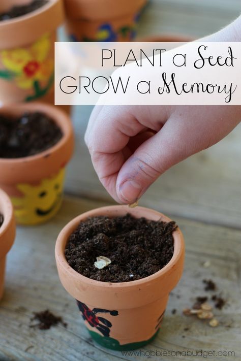 Here's a simple Mother's Day gift using small terra cotta pots, paint, seeds and potting soil! These thumbprint flower pots don't take a big time commitment or cost a lot of money but will create memories for the next seasons of life. Thumbprint Animals, Thumbprint Flowers, Seeds Preschool, Rose Craft, Small Clay Pot, Small Terracotta Pots, Planting For Kids, Terra Cotta Pots, Terra Cotta Pot Crafts