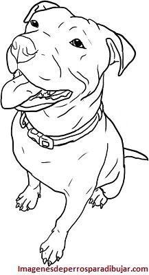 imagenes de perros pitbull para colorear sentado Bull Lineart, Pitbull Colors, Pit Bull Drawing, American Staffy, Pitbull Drawing, Pitbull Tattoo, Amstaff Puppy, Pitbull Art, Puppy Drawing