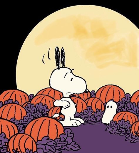 Halloween Wallpaper For Widgets, Halloween Aesthetic Snoopy, Halloween Cartoons Aesthetic, Snoopy Halloween Widget, Peanuts Fall Aesthetic, Snoppy Wallpapers Halloween, Fall Snoopy Wallpaper Desktop, Halloween Snoopy Aesthetic, Fall Snoopy Pfp