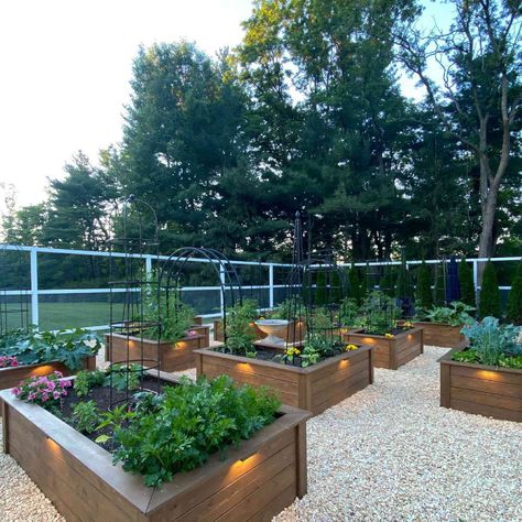 Backyard Raised Garden Beds, Raised Bed Garden Layout, Raised Garden Designs, Veggie Garden Layout, Deer Fencing, Backyard Raised Garden, Nest Ideas, Raised Garden Bed Ideas, Garden Bed Layout