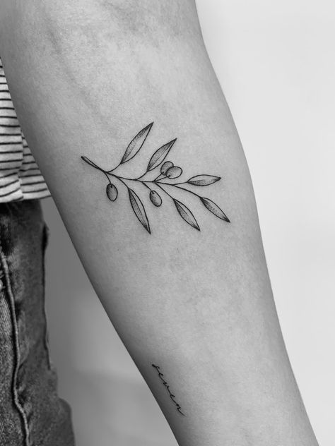 Olive Stamp Tattoo, Mens Olive Branch Tattoo, Olive Branch Arm Tattoo, Olive Leaf Tattoo Design, Olive Tattoo, Olive Branch Tattoo, Branch Tattoo, Dagger Tattoo, Modern Tattoos