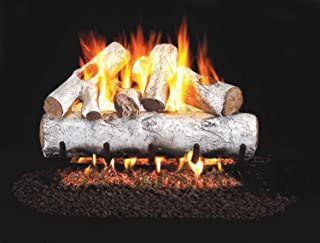 Amazon.com: gas fireplace Gas Log Burner, Quaking Aspen, Birch Logs, Gas Log Sets, Fireplace Logs, Gas Logs, Aspen Trees, Fire Features, Northern Arizona