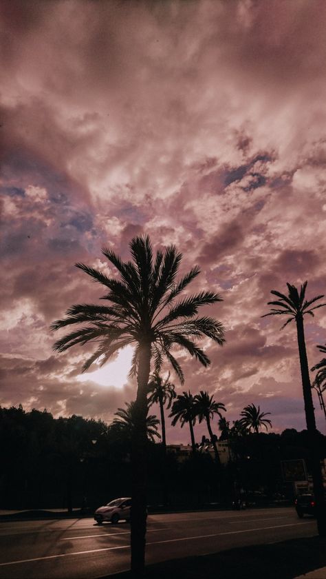 #evening #abend #vibes #palmtree #palms #sky #skylovers #paradise #palmtrees #pink #pictureoftheday #photography Be Awesome, Palm Trees, Paradise, Trees, Celestial Bodies, Photography, Pink, Quick Saves