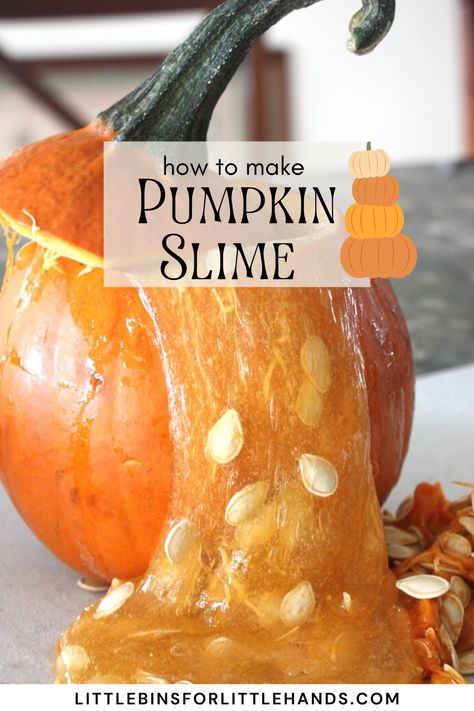 Learn how to make Pumpkin Slime using real pumpkin. Get your hands dirty this fall with our recipe for Pumpkin Slime. This is slime made from pumpkin guts! Your kids are going to love this new Halloween season activity. Halloween Slime Ideas, Preschool Recipes, Pumpkin Slime, Fluff Slime, Pumpkin Play, Christmas Stem Challenge, Stretchy Slime, Christmas Science Activities, Season Activity