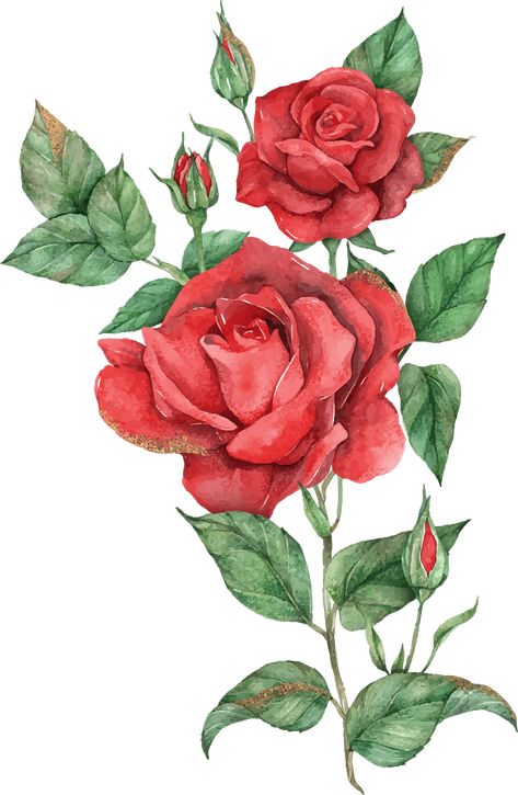 Rose Flower Digital Art, Rose Drawing Painting, Rose Flower Art Drawing, Illustration Flower Art, Rose Plant Drawing, 3 Roses Drawing, Flowers Drawing Realistic, Rose Flower Drawing Design, Rose Leaves Drawing