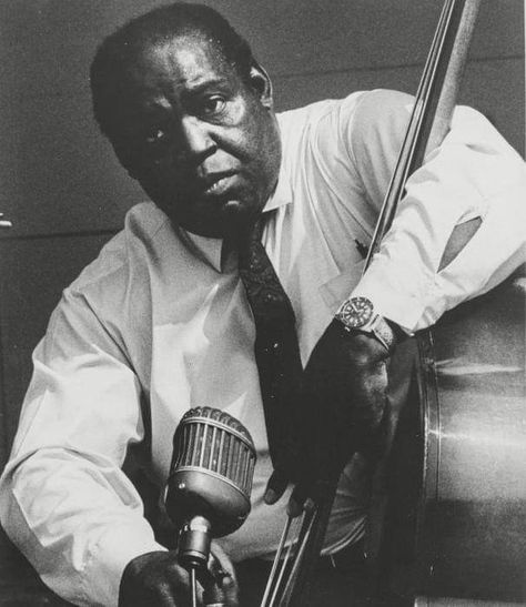 Willie Dixon, Chet Baker, Tom Waits, All About That Bass, Blues Musicians, Jazz Artists, Blues Artists, Lambada, Double Bass