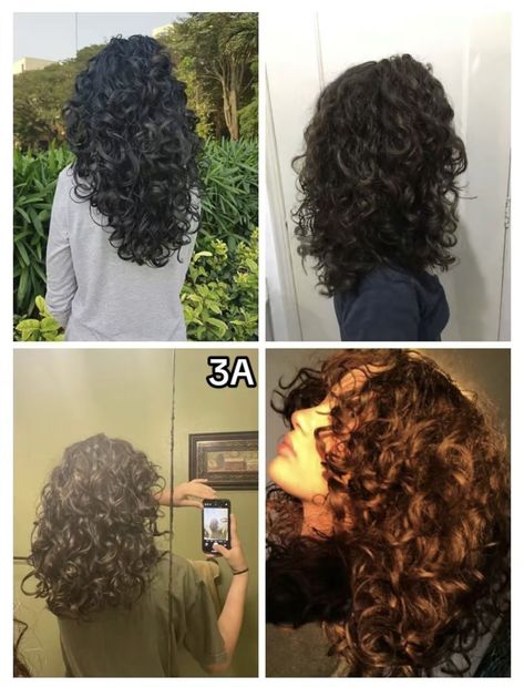 Hair Patterns Chart, Curly Hair Manifestation, Different Types Of Perms For Long Hair, 2c And 3a Curly Hair, Thick Short Curly Hair, 2c 3a Haircut, Beach Curl Perm, Haircuts For 2c Hair, 3a Curly Hair Styles