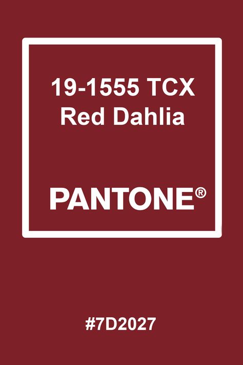 Pantone Red Dahlia, Pantone Red, Lace Cap Hydrangea, Red Dahlia, Pantone Palette, Pantone Colors, Silver Birch, Mood Board Inspiration, Hot Fudge