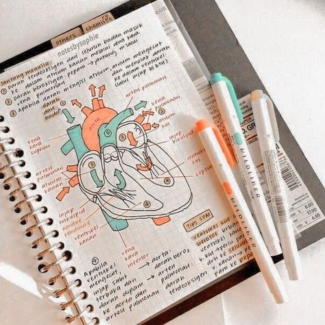 Notesbog Design, Studyblr Notes, Notes Nursing, Organization Notes, Studera Motivation, مشروعات العلوم, Notes Aesthetic, College Notes, Medical Student Study