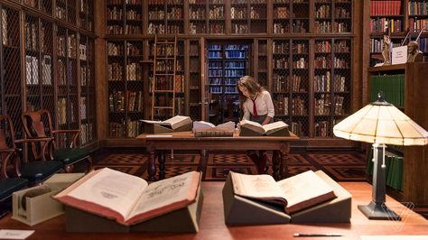 Uncovering Harry Potter world-building in centuries-old books Dark Academia Castle, Classic Academia Aesthetic, Harry Potter Library, Hogwarts Library, New England Aesthetic, Academic Aesthetic, Studera Motivation, Classic Academia, Castle Aesthetic