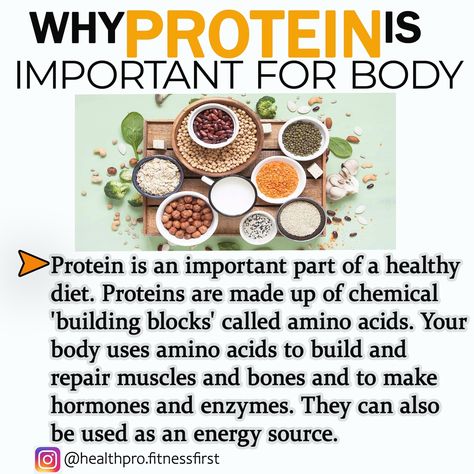 why protein is important for body Why Nutrition Is Important, Why Protein, Medical Study, Study Essentials, Protein Nutrition, Healthy Food Facts, Medical Studies, Healthy Lifestyle Food, Alkaline Foods