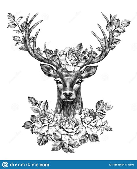 Deer With Rose Flowers Pencil Drawing Stock Illustration - Illustration of line, cartoon: 148635694 Deer Head Tattoo, Deer Tattoo Designs, Tattoo Care Instructions, Stag Tattoo, Deer Drawing, Realistic Temporary Tattoos, Deer Tattoo, Quality Tattoo, Custom Temporary Tattoos