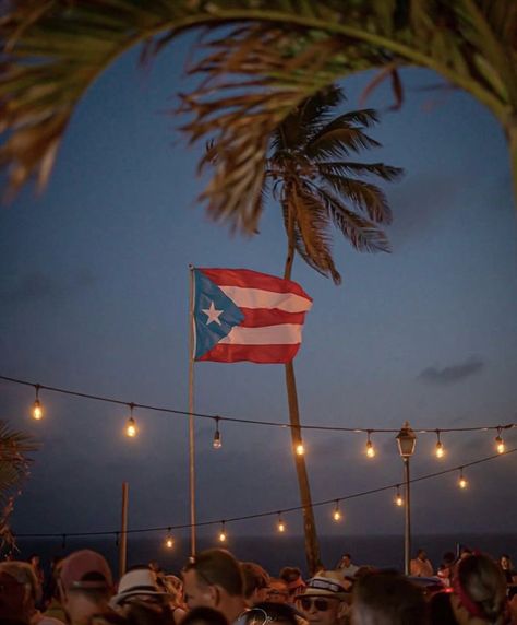 Not Enough, Puerto Rico, Flag