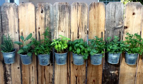 When space is tight, make a hanging fence post herb garden! Fence Herb Garden, Herbs Garden Indoor, Hanging Herb Gardens, Patio Herb Garden, Herb Garden Pallet, Hanging Plants Diy, Small Herb Gardens, Outdoor Herb Garden, Hanging Herb Garden