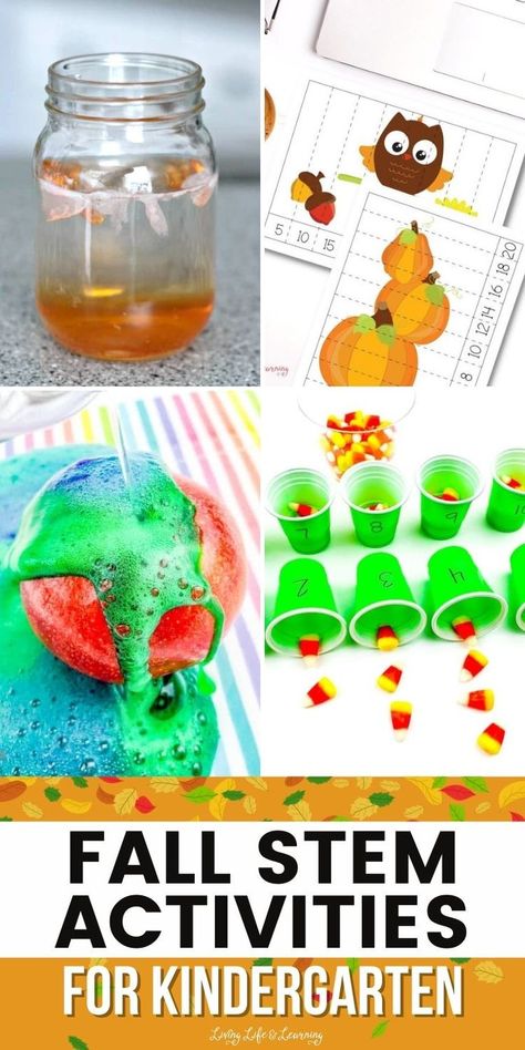 Fall STEM Activities for Kindergarten Stem Activities For Kindergarten, Fall Stem Activities, Stem Activities Kindergarten, Homeschool Stem, Kindergarten Homeschool Curriculum, Fall Stem, Kindergarten Curriculum, Fall Kindergarten, Activities For Kindergarten