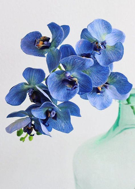 Blue Orchid Flower, Orchids Wedding, Silk Flower Wedding Bouquet, Wedding Flower Guide, Orchid Collection, Silk Orchids, Moth Orchid, Orchids Garden, Artificial Orchids