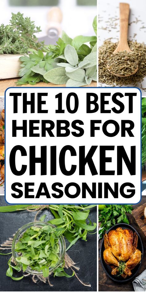 The 10 best herbs for chicken seasoning featured with images of fresh and dried herbs, and a roasted chicken. Herbs Chicken Recipes, Herbed Chicken Recipes, Homemade Poultry Seasoning Recipe, Poultry Seasoning Recipe, Herby Chicken, Chicken Seasoning Mix, List Of Herbs, Herb Chicken Recipes, Herbs For Chickens