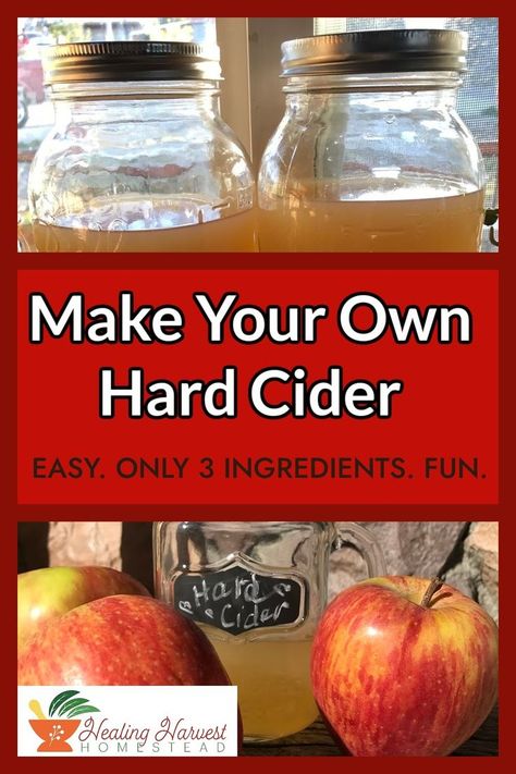 Have you ever wanted to try making your own Hard Cider? It is a lot easier than you think! Learn how to take apple cider and ferment it to make a delicious hard cider that you can drink any time. It is easy to make with only 3 ingredients. Why not give it a try? #hardcider #applerecipes #appleorchard #easyrecipe #fermentation Fermented Apple Cider, Canned Apple Cider, How To Make Cider, How To Make Apple Cider From Apple Juice, How To Make Hard Cider, How To Make Apple Cider, Hard Apple Cider Recipe, Diy Cider, Hard Cider Recipe