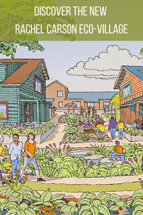 Imagine living in a home that generates more energy than it consumes. What if I also told you that the house was constructed with only sustainable materials and no toxic chemicals? The Rachel Carson eco-village is making that dream a reality. Learn more about their visions for the neighborhood, residents, and the surrounding community. #ecovillagedesign #ecovillagecommunity #ecofriendlyliving #ecofriendly #ecofriendlyhouse #villagelife #villageaesthetic #homesteading #homesteadaesthetic #village Eco Sustainable House, Co Living Concept, Eco Neighborhood, Eco Socialism, Sustainable Cities And Communities, Small House Communities, Eco Village Community, Eco Friendly House Plans, Eco Community