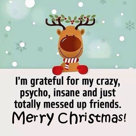 Merry Christmas Crazy Friends christmas xmas merry christmas happy holidays christmas quotes christmas quote christmas comments Merry Christmas Friends, Merry Christmas Quotes, Christmas Friends, Christmas Quotes, Quotes Funny, Christmas Card, Merry Christmas, Tumblr, Funny