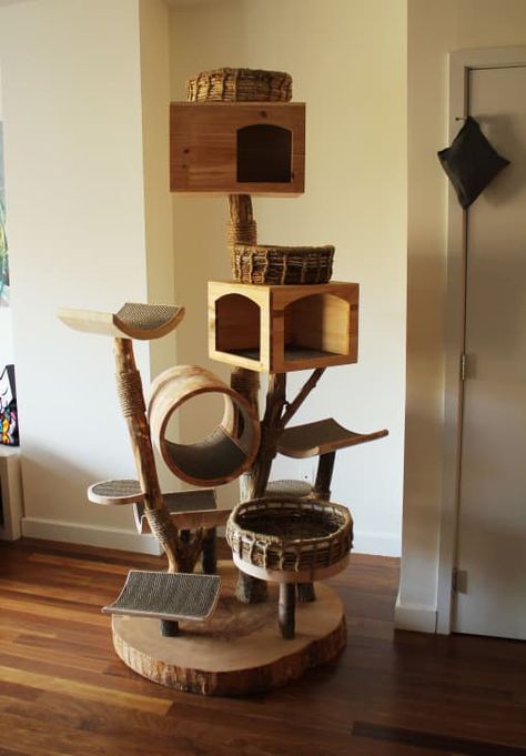 Custom Cat Trees, Chat Diy, Cool Cat Trees, Cat Tree House, Diy Cat Tree, Modern Cat Tree, Cat House Diy, Cat Towers, Cat Ideas