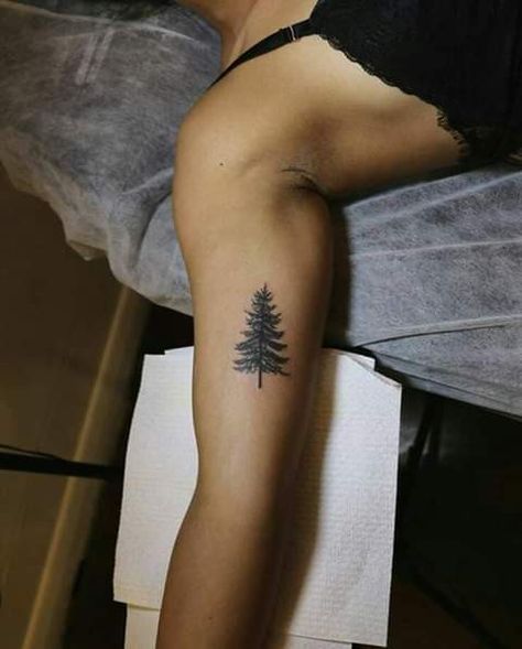 Tree Placement, Ox Tattoo, Tree Tat, Pine Tattoo, Tattoo Tree, Mother Nature Tattoos, Pine Tree Tattoo, Norway Spruce, Tree Tattoo Designs