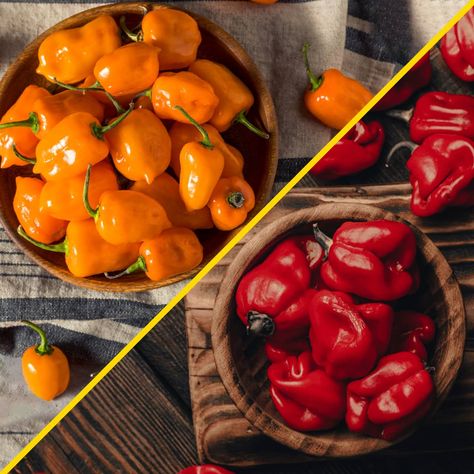 Ghost Pepper Recipes, How To Make Chili, Ghost Pepper, Cooking Measurements, Strawberry Preserves, Ghost Peppers, Spicy Dishes, Ingredient Substitutions, Spicy Food