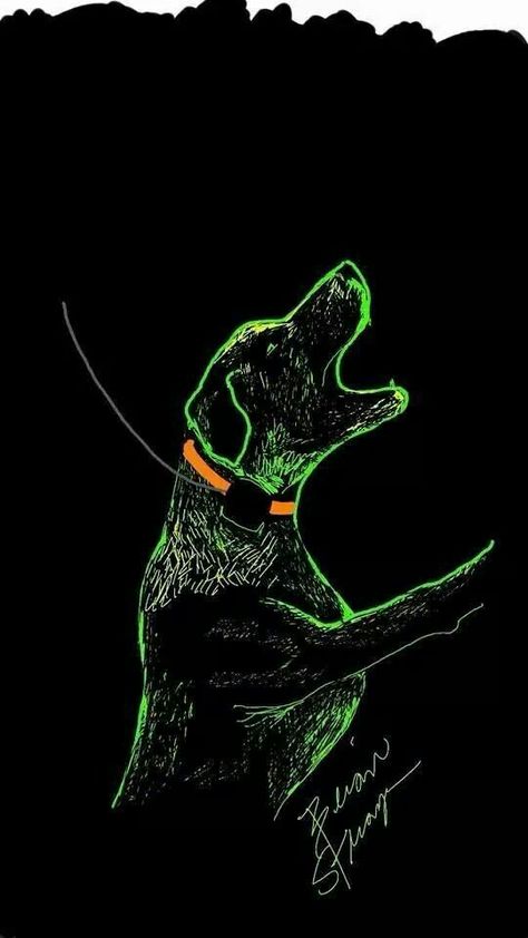 I love this picture Hog Hunting Tattoos, Hunting Dogs Fanart, Raccoon Hunting, Dog Hunting Painting, Hunting Dog Illustration, Dog Wallpaper Iphone, Hunting Dog Artwork, Coon Hunting, Boar Hunting