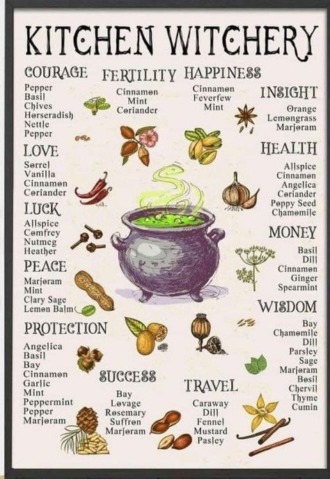 Kitchen Witchery Herbal Magic, Kitchen Witchery Aesthetic, Witchcraft Ingredients, Spell Ingredients, Kitchen Witchcraft, Witch Recipes, Kitchen Witch Recipes, Witchy Business, Witch Herbs