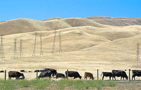 san joaquin valley - Google Search Sierra Mountains, San Joaquin Valley, California Girl, My Kind Of Town, Home Birth, Central Valley, California Dreamin', The Ranch, Golden State