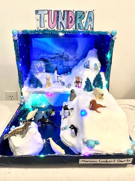 Tundra Diorama Projects, Arctic Tundra Biome Project, Tundra Biome Shoebox Project, Arctic Diorama For Kids, Tundra Biome Project, Ocean Habitat Project, Tundra Project, Ecosystems Diorama, Ecosystem Project