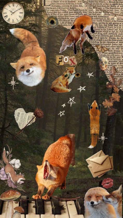 #vibes #nature #vintage #foxes Fox Core Aesthetic, Fox Collage Art, Tosia Core, Red Fox Aesthetic, Fox Wallpaper Iphone, Fox Wallpaper Aesthetic, Fox Collage, Fox Background, Therian Wallpaper