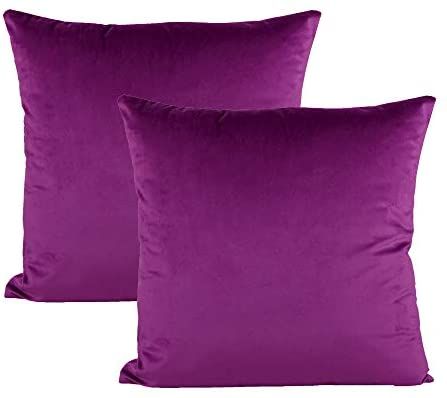 Wayfair Throw Pillows, Magenta Velvet, Black Couches, Purple Throw, Purple Cushions, Purple Throw Pillows, Pillow Covers Decorative, Throw Pillow Inserts, Office Set