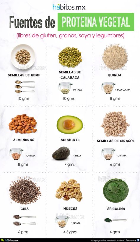 Fuentes de proteína vegetal. Healthy Menu, Health Coaching, Food Info, Vegan Life, Vegan Diet, Going Vegan, Raw Food Recipes, Healthy Tips, Health And Nutrition