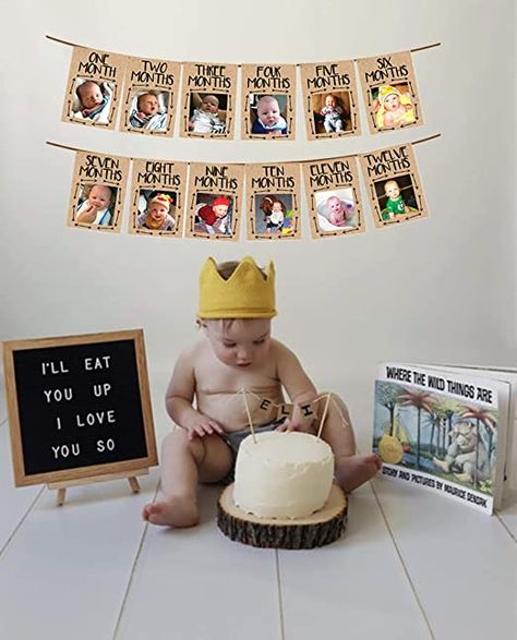 Photo Banner First Birthday, 12 Month Banner, First Year Birthday, Monthly Photo Banner, 12 Month Photos, Baby Birthday Photoshoot, Diy Birthday Banner, Baby Milestones Pictures, 1st Birthday Pictures