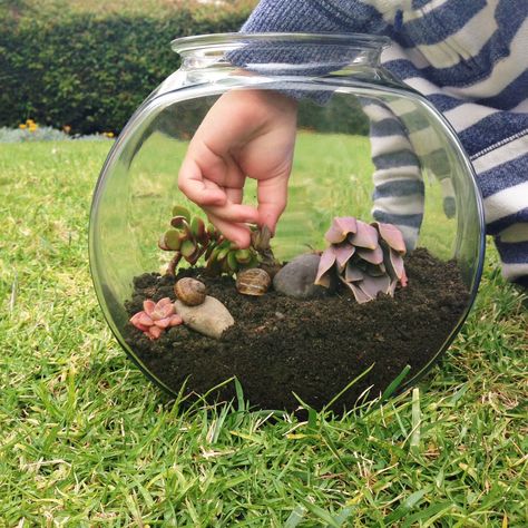 I made this DIY snail terrarium so my bug-obsessed son could keep his little critters without them sliming all over the house! Pet Snail Terrarium, Snail Terrarium, Marimo Moss Ball Terrarium, Snail Garden, Snail Tank, Giant Snail, Frog Terrarium, Snail And The Whale, Gecko Terrarium