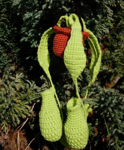 Amigurumi carnivorous plant Plant Crochet, Knifty Knitter, Plant Crafts, Pitcher Plant, Crochet Plant, Carnivorous Plants, Frozen 2, Plant Art, Crochet Patterns Amigurumi