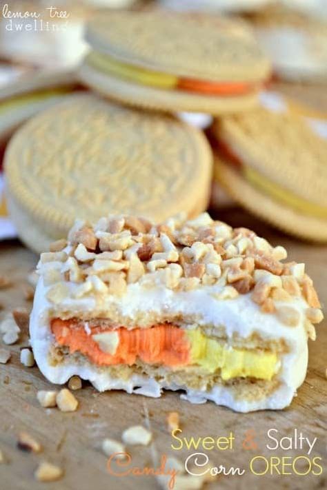 Sweet & Salty Candy Corn Oreos | Lemon Tree Dwelling Peanuts And Candy Corn, Sweet And Salty Candy, Corn Party, Candy Corn Recipe, Delicious Halloween Treats, Butter Recipes, Halloween Desserts, Match Made In Heaven, Roasted Peanuts