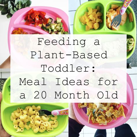 Vegetarian Toddler Meals, Meals For Toddlers, Breakfast Lunch And Dinner Ideas, Lunch And Dinner Ideas, Plant Based Meals, Toddler Meal Ideas, Toddler Dinner, Plant Based Lunch, Vegan Kids Recipes